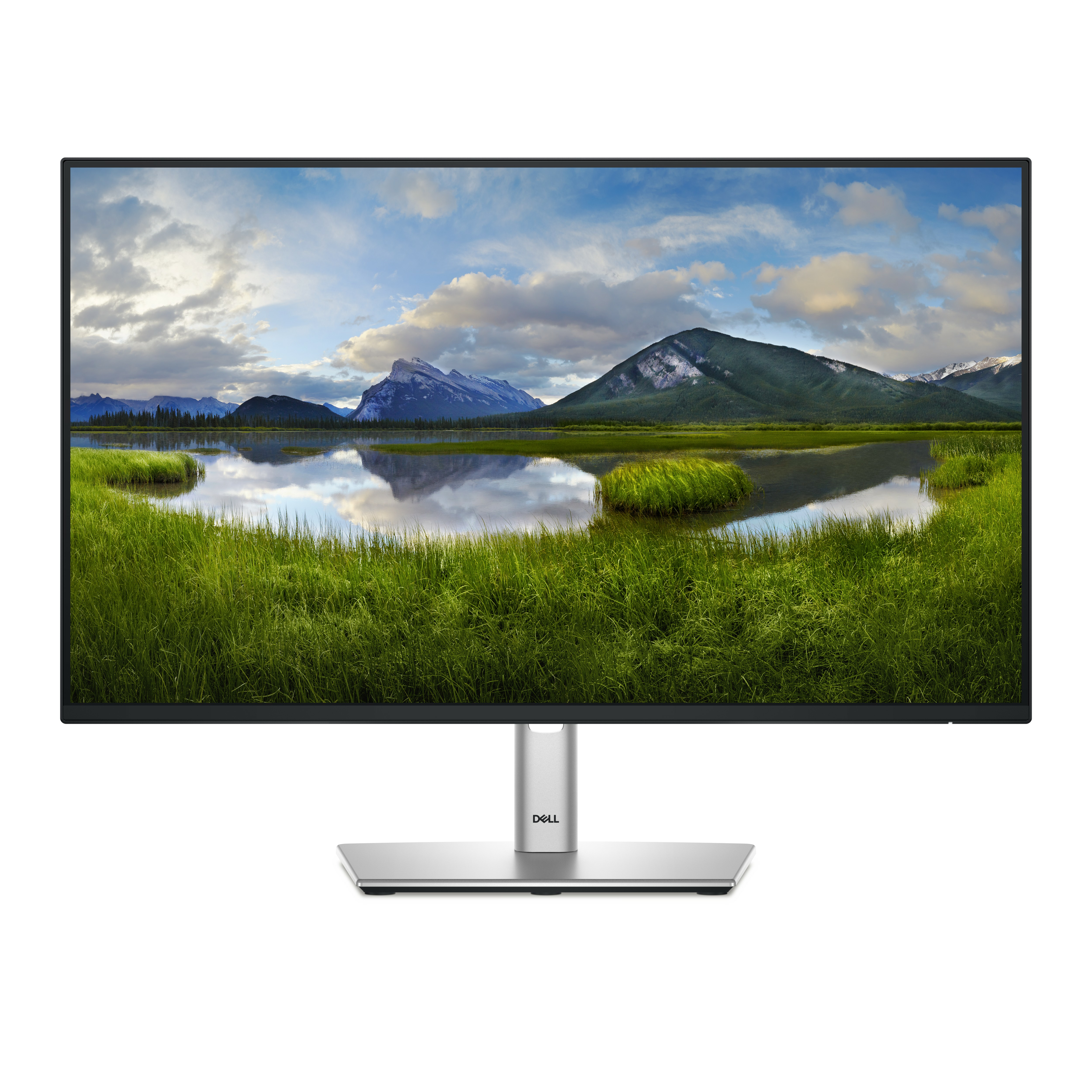 Monitores DELL P2425HE